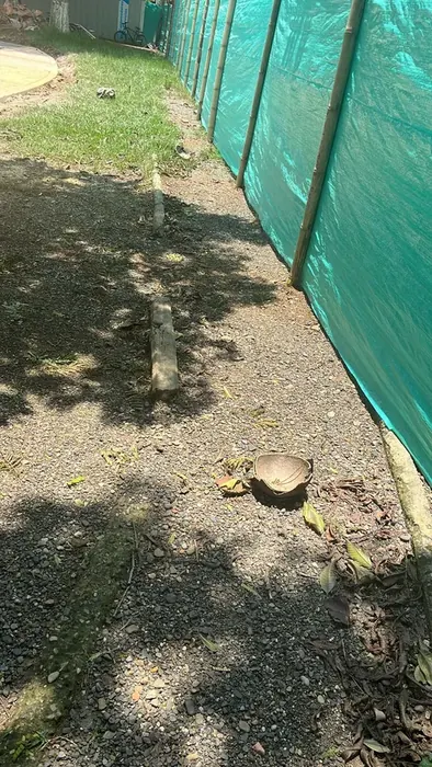 Construcción y mantenimiento de canchas y parques · Canchas y parques, Colombia Agroforestal