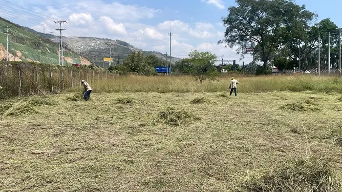 Poda y corte de césped · Poda de césped, Colombia Agroforestal