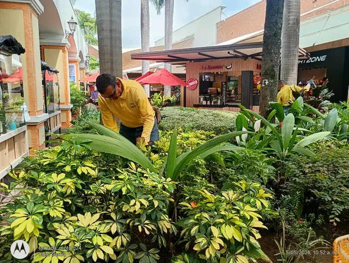 Mantenimiento de jardines y zonas verdes · Mantenimiento de jardines, Colombia Agroforestal