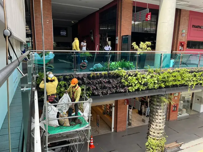 Diseño e instalación de jardines verticales · Jardín vertical, Colombia Agroforestal